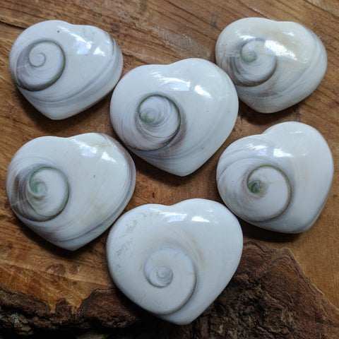 Shell Spiral Heart~CRSPSHRT