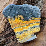 Bumblebee Jasper Slab~CRBBJS01