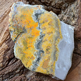 Bumblebee Jasper Slab~CRBBJS02