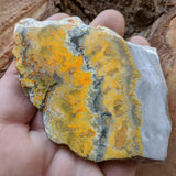 Bumblebee Jasper Slab~CRBBJS02