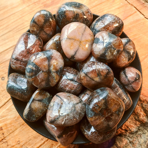 Tumbled Chiastolite (Andalusite)~TUMCHIAS