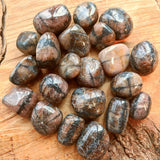 Tumbled Chiastolite (Andalusite)~TUMCHIAS