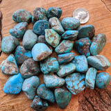 Turquoise Nugget-Large~CRTNUGLG