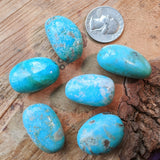 Tumbled Turquoise-Small~TUMTRQSM