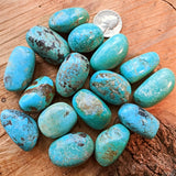 Tumbled Turquoise-Large~TUMTRQLG