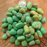 Tumbled Green Turquoise-Small~TUMGTURQ