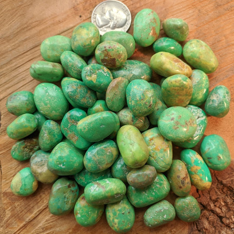 Tumbled Green Turquoise-Small~TUMGTURQ