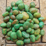 Tumbled Green Turquoise-Small~TUMGTURQ