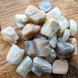 Tumbled Moonstone~TUMMMOON