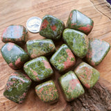 Tumbled Unakite~TUMUNAL