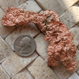 Copper Specimen-CRCOPS03