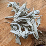 White Sage~Loose- RWSAGELB