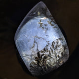 Dendritic Quartz Free Form Cabochon~CRDQFFC3