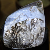 Dendritic Quartz Free Form Cabochon~CRDQFFC3