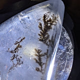 Dendritic Quartz Free Form Cabochon~CRDQFFC3