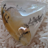 Golden Healer Dendritic Quartz Free Form Cabochon~CRGHDQC6