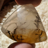 Golden Healer Dendritic Quartz Free Form Cabochon~CRGHDQC6