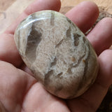 Graphic Feldspar Palm Stone~CRGRFLDP