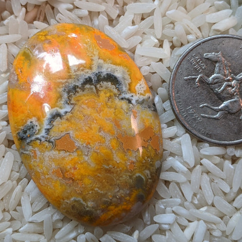 Bumblebee Jasper Cabochon~JCABBBJ4