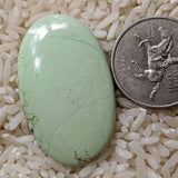 Lemon Chrysoprase Cabochon~JCABLCM3