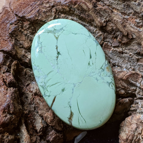 Lemon Chrysoprase Cabochon~JCABLCM4