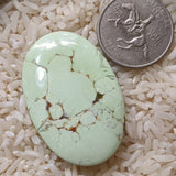 Lemon Chrysoprase Cabochon~JCABLCM5