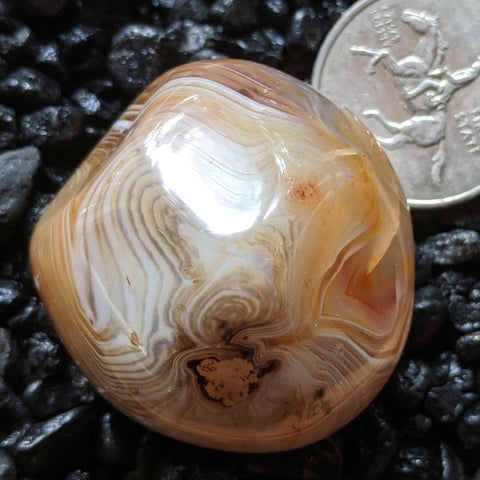 Sardonyx Palm Stone~CRSARD10