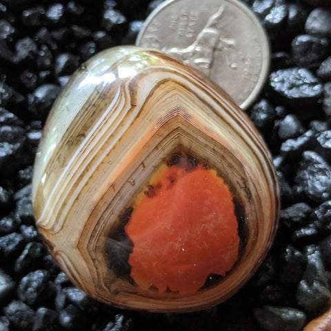 Sardonyx Palm Stone~CRSARD18