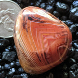 Sardonyx Palm Stone~CRSARD19