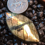 Labradorite Cabochon~JCABLA01