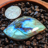 Labradorite Cabochon~JCABLA03