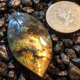 Labradorite Cabochon~JCABLA05