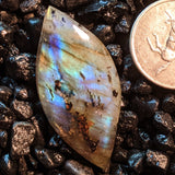 Labradorite Cabochon~JCABLA09