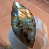 Labradorite Cabochon~JCABLA09