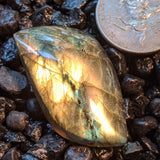 Labradorite Cabochon~JCABLA28