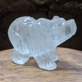 Quartz Bear~CRQBEARC