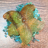 Fluorite Starfish~ CRFLSTR4