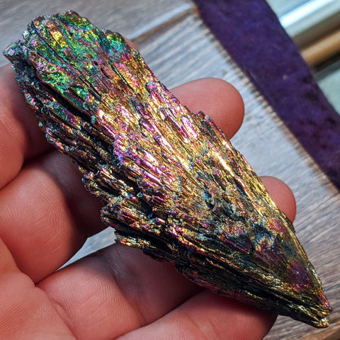 Titanium Black Kyanite Crystal~CRTBKC05