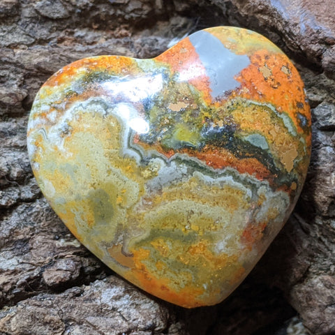 Bumblebee Jasper Heart~CRBBJHT1