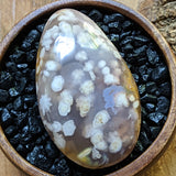 Manifestation Chalcedony Palm Stone~CRMCPS04