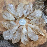 Sagenite Quartz Crystals~CRSAGQTZ