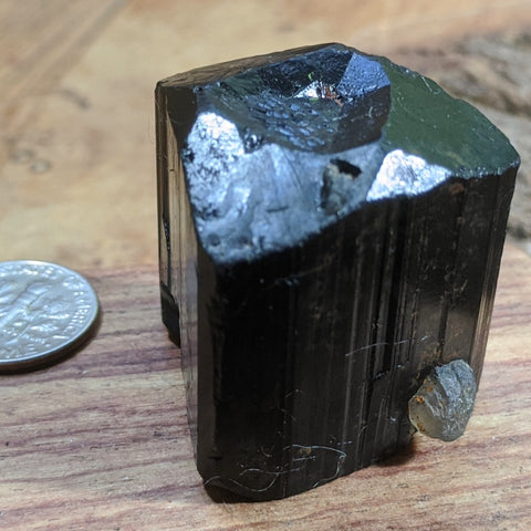 Black Tourmaline & Quartz Crystal- CRBTRM11