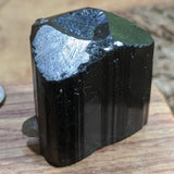 Black Tourmaline & Quartz Crystal- CRBTRM11