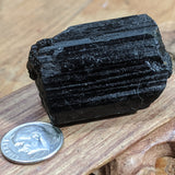 Black Tourmaline Crystal- CRBTRM13