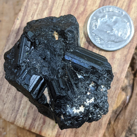 Black Tourmaline Crystal- CRBTRM16