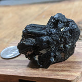 Black Tourmaline Crystal- CRBTRM16