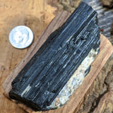 Black Tourmaline Crystal- CRBTRM29