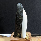 Onyx Penguin Carving~CROPEN07