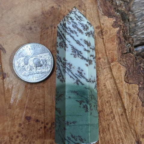 Dendritic Sage Green Jasper Generator~CRDSGJ03