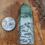 Dendritic Sage Green Jasper Generator~CRDSGJ05